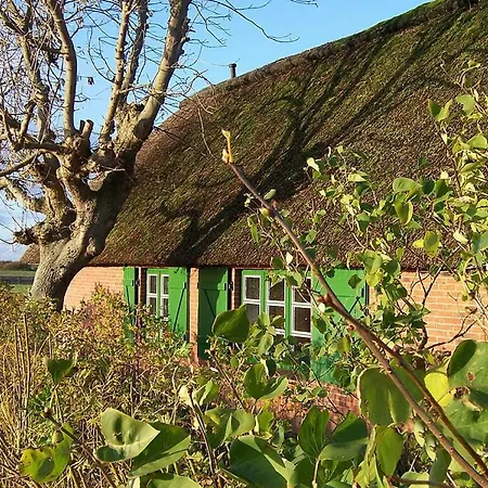 Thatched Roof House Kehl Hillgroven